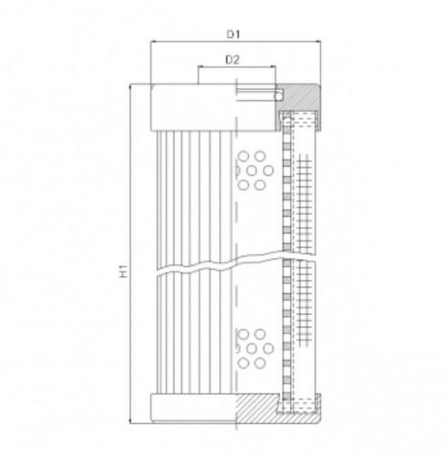 Filtrec D113G06B Hidraulikaszűrő