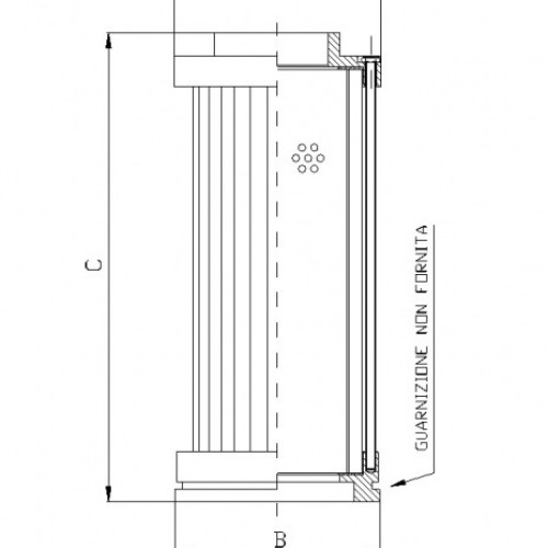 Filtrec S420C25 Hidraulikaszűrő