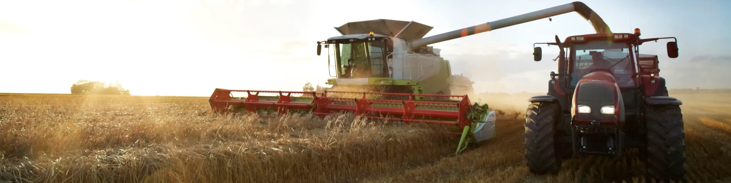 Mezőgazdaság - Hatékony betakarítás kisebb szűrőkkel