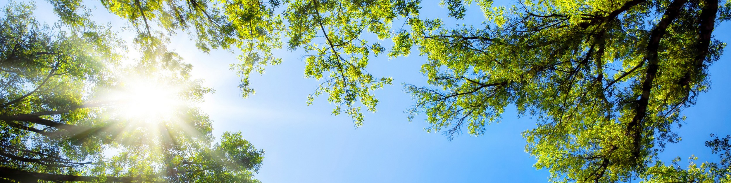 Fenntarthatósági Stratégia