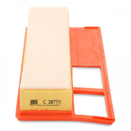 Mann filter C3877/1