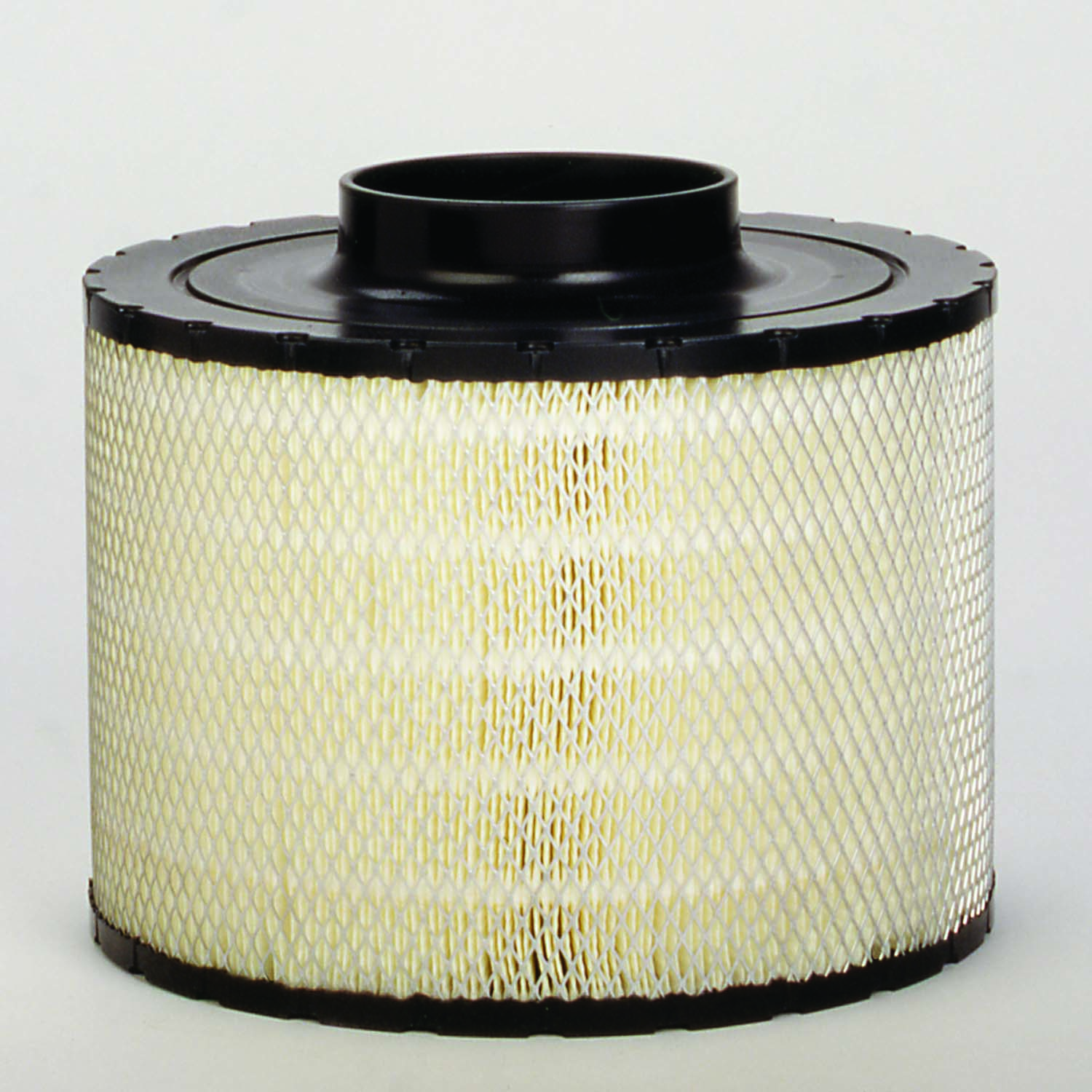 Donaldson® B125011 AIR CLEANER