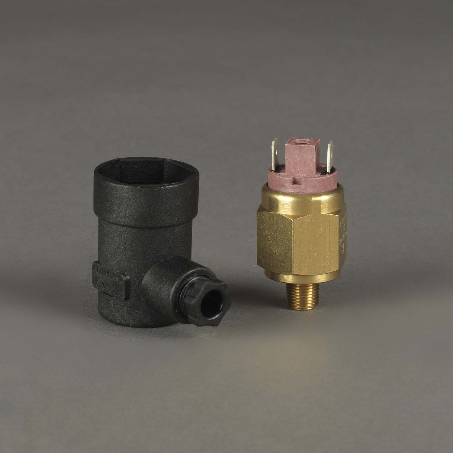 Donaldson® P171966 504.01 PRESSOS.ELET.1,2 BAR